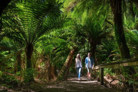 The Great Ocean Road Private 1 Day Tour - Kawana Tourism 2