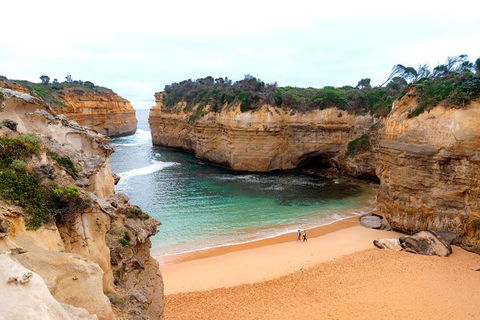 The Great Ocean Road Private 1 Day Tour - Kawana Tourism 6
