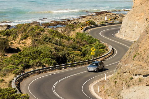 The Great Ocean Road Private 1 Day Tour - Kawana Tourism 5