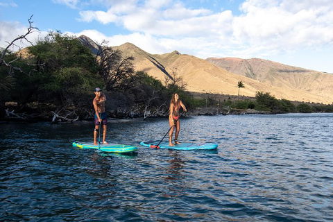 Stand Up Paddle Boarding Hire - Kawana Tourism 2