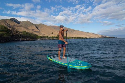 Stand Up Paddle Boarding Hire - Kawana Tourism 6