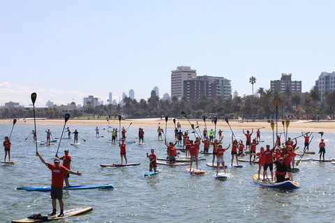 Stand Up Paddle Boarding Hire - Kawana Tourism 5
