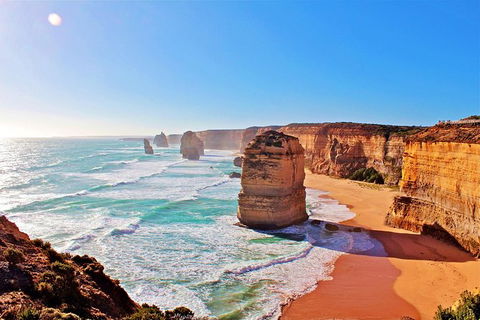 Cruise Ship Shore Excursion - Private Great Ocean Road Full Day Tour (12 Hour) - Kawana Tourism 2
