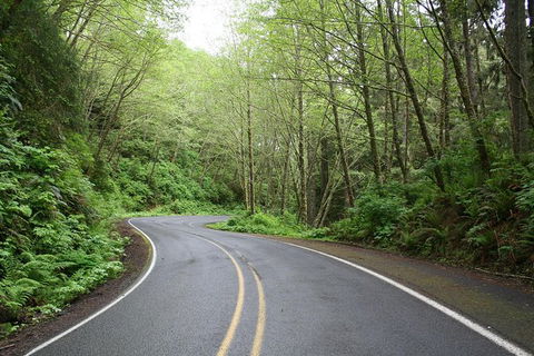 Cruise Ship Shore Excursion - Private Great Ocean Road Full Day Tour (12 Hour) - Kawana Tourism 1