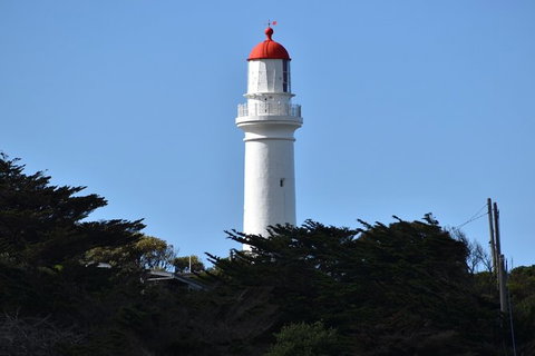 Great Ocean Road Tour Plus Koalas, Forest Walk And Morning Tea. - Kawana Tourism 1