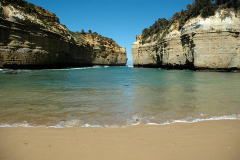 Great Ocean Road Tour Plus Koalas, Forest Walk And Morning Tea. - Kawana Tourism 4
