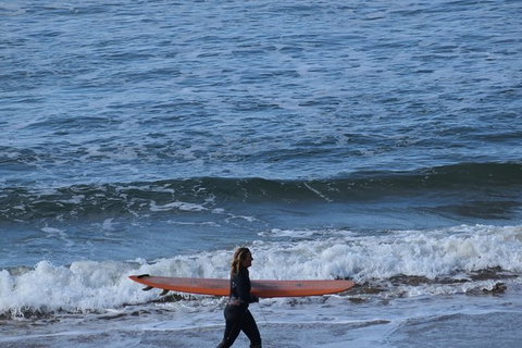 Great Ocean Road Tour Plus Koalas, Forest Walk And Morning Tea. - Kawana Tourism 8