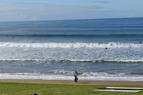 Great Ocean Road Tour Plus Koalas, Forest Walk And Morning Tea. - Kawana Tourism 9