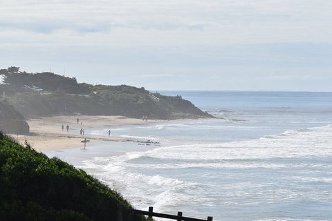 Great Ocean Road Tour Plus Koalas, Forest Walk And Morning Tea. - Kawana Tourism 10