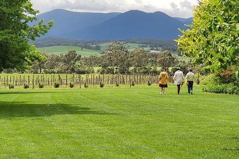 Yarra Valley Wine Tasting Day Tour From Melbourne - Kawana Tourism 6