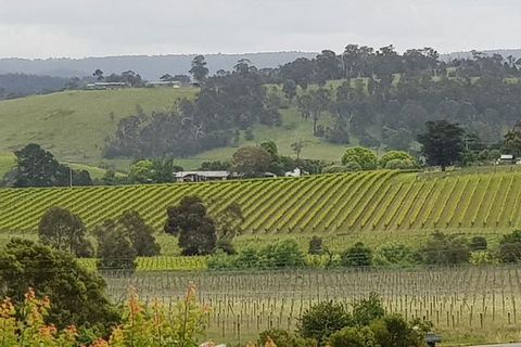 Yarra Valley Wine Tasting Day Tour From Melbourne - Kawana Tourism 0