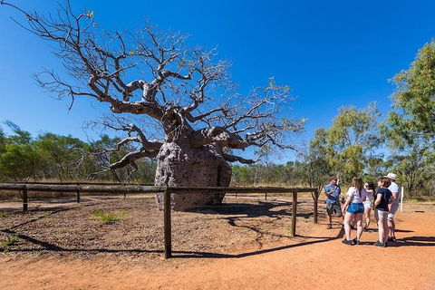 5 Day Bungle Bungles & Cattle Station Explorer - Kawana Tourism 2