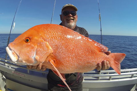 Full Day Fishing Charter - Kawana Tourism 3