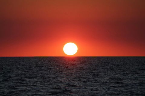 Roebuck Bay Snubfin Dolphin Cruise - Kawana Tourism 1