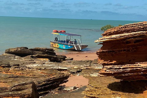 Dinosaur Adventure Tour - Kawana Tourism 5
