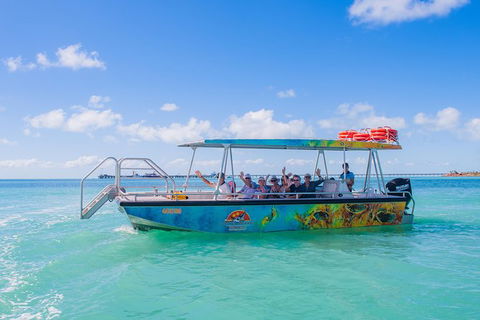Dinosaur Adventure Tour - Kawana Tourism 3