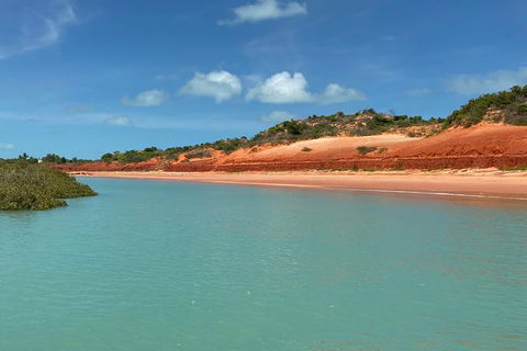 Dinosaur Adventure Tour - Kawana Tourism 9