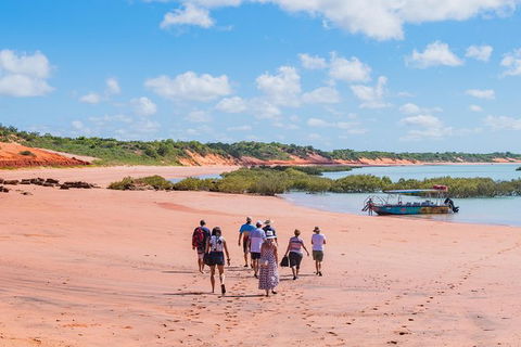Dinosaur Adventure Tour - Kawana Tourism 4