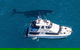 Humpback Whale Safari - thumb 2
