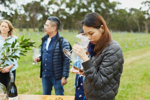 Organic Vineyard/Farm Tour - Kawana Tourism 1