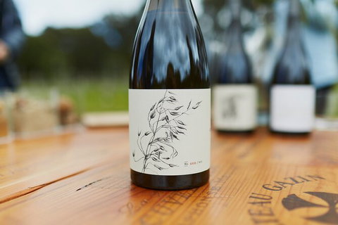 Organic Vineyard/Farm Tour - Kawana Tourism 8