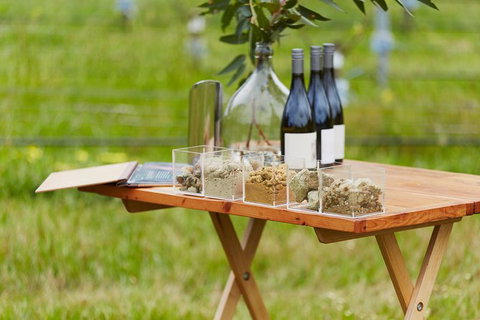 Organic Vineyard/Farm Tour - Kawana Tourism 3