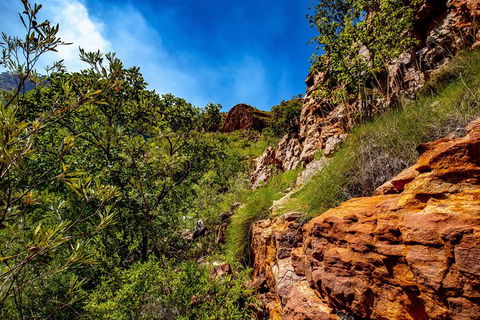 Secret Locations Tour - Kawana Tourism 9