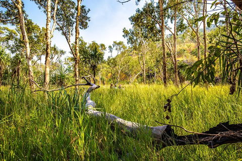 Secret Locations Tour - Kawana Tourism 4