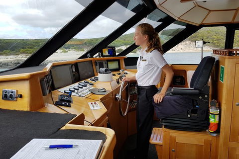 Full-Day Killer Whale Expedition From Albany - Kawana Tourism 4