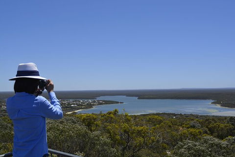 Full-Day Killer Whale Expedition From Albany - Kawana Tourism 5