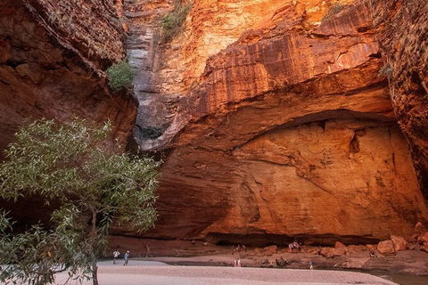 Bungles Day Trek Extended (with Echidna Chasm) - Kawana Tourism 0