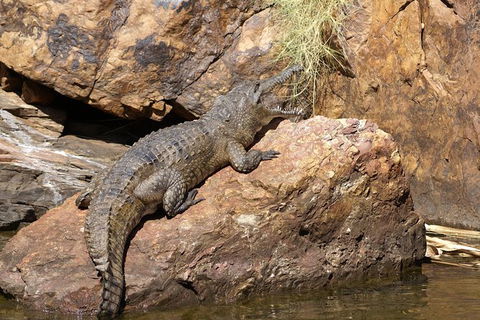 Ord River Experience With Riverside Lunch - Kawana Tourism 2