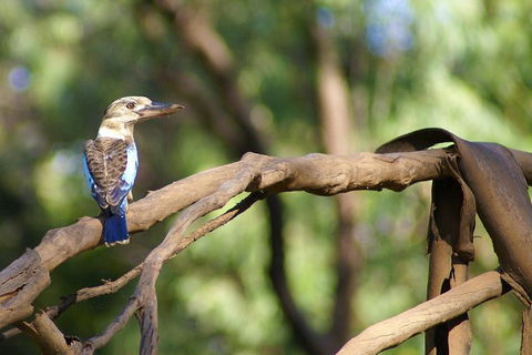 Ord River Experience With Riverside Lunch - Kawana Tourism 1