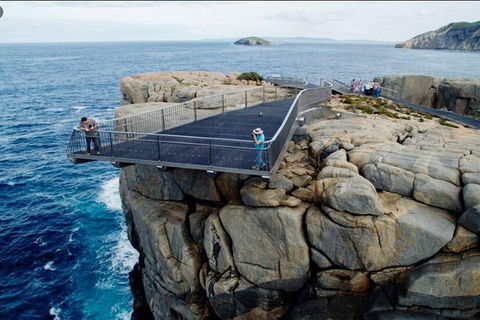 The Gap & Natural Wonders Guided Tour - Kawana Tourism 5