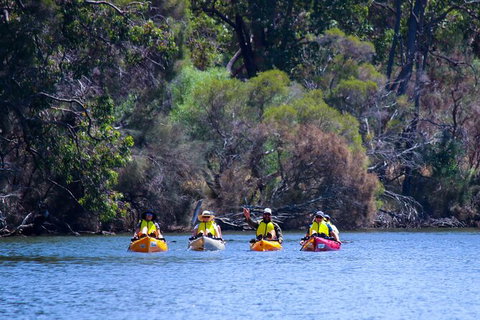 Private Guided River Kayak Tour - Kawana Tourism 6