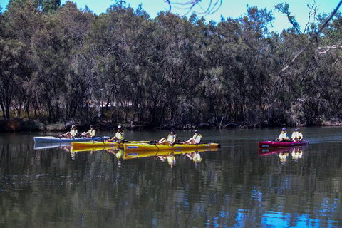 Private Guided River Kayak Tour - Kawana Tourism 5
