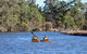Private Guided River Kayak Tour - thumb 7
