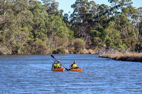 Private Guided River Kayak Tour - Kawana Tourism 7