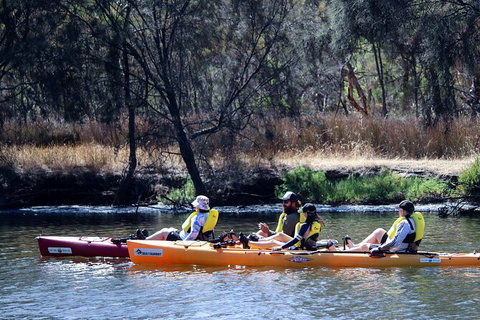 Private Guided River Kayak Tour - Kawana Tourism 3