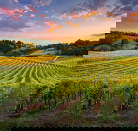 Swan Valley Sunset Wine Tour - Premium Small Group Tour - Kawana Tourism