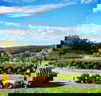 Bickley Valley Wine  Cider Tour - Premium Small Group Tour - Kawana Tourism