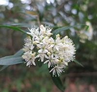 Booderee National Park - Kawana Tourism