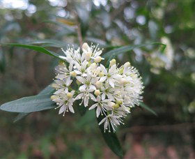 Booderee National Park - Kawana Tourism 0
