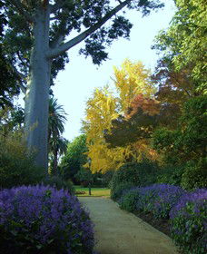 Albury NSW Kawana Tourism