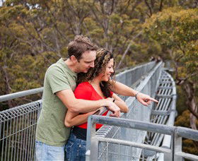 Valley Of The Giants Tree Top Walk - Kawana Tourism 0
