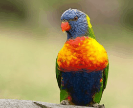 Booderee National Park - Kawana Tourism 1