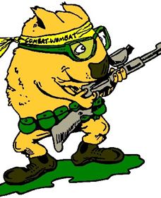 Skirmish Down Under - Kawana Tourism 0