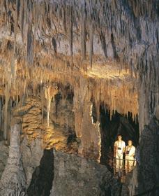 Mammoth Cave - Kawana Tourism 0