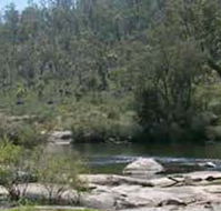 Wellington Discovery Forest - Kawana Tourism
