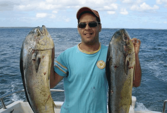 Jervis Bay Fishing and Charters - Kawana Tourism